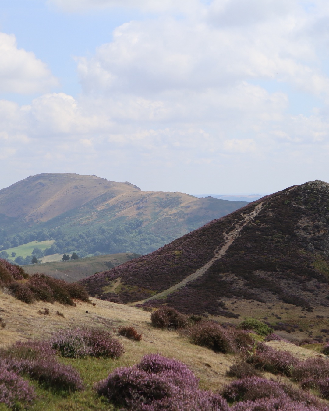 Looking for Knee Pain Exercise Support in Shropshire? Here’s What to Look For